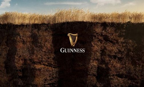 Guinness embarks on regenerative agriculture pilot