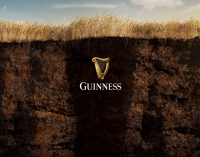 Guinness Embarks on Regenerative Agriculture Pilot