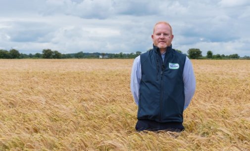 Growing Resilient Winter Cereal Varieties With Fane Valley.