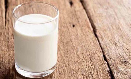 Nestlé explores emerging technologies for animal-free dairy proteins