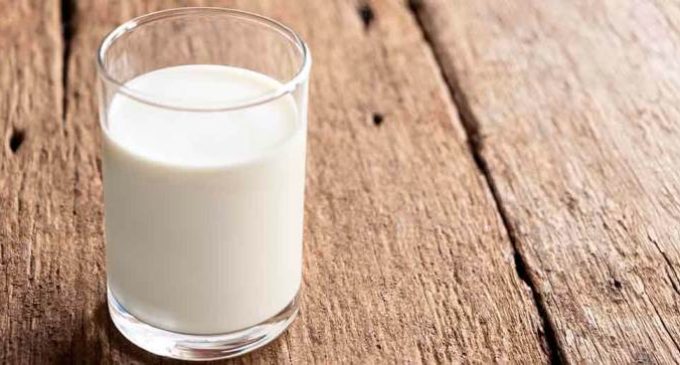 Nestlé explores emerging technologies for animal-free dairy proteins