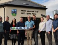 Twelve AgTech and Agri-food Start-Ups Selected for AgTechUCD’s Second Accelerator Programme
