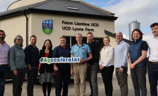 Twelve AgTech and Agri-food Start-Ups Selected for AgTechUCD’s Second Accelerator Programme