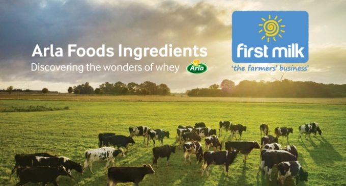 First Milk agrees new whey partnership with Arla Foods Ingredients