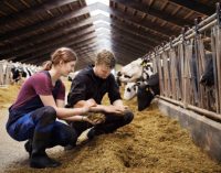Arla Foods starts to pays out monthly incentive to owners rewarding climate and sustainability activities on farm
