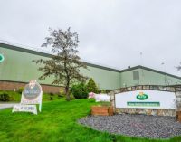 Arla Foods to invest €210 million in English dairy