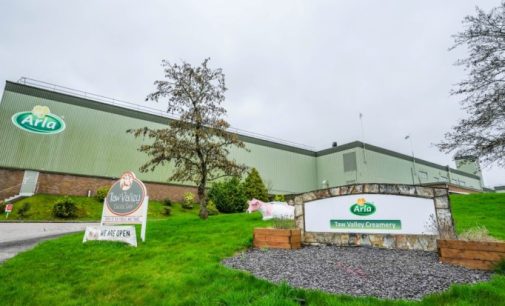 Arla Foods to invest €210 million in English dairy