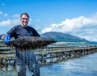 Carlingford Oyster Company invests in new production facilities
